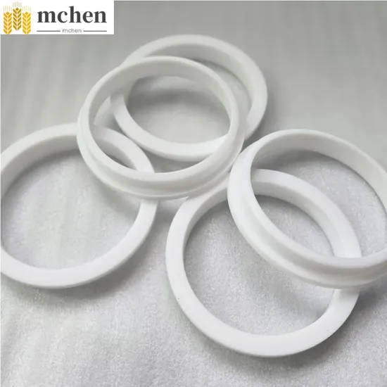 PTFE Teflon Gasket